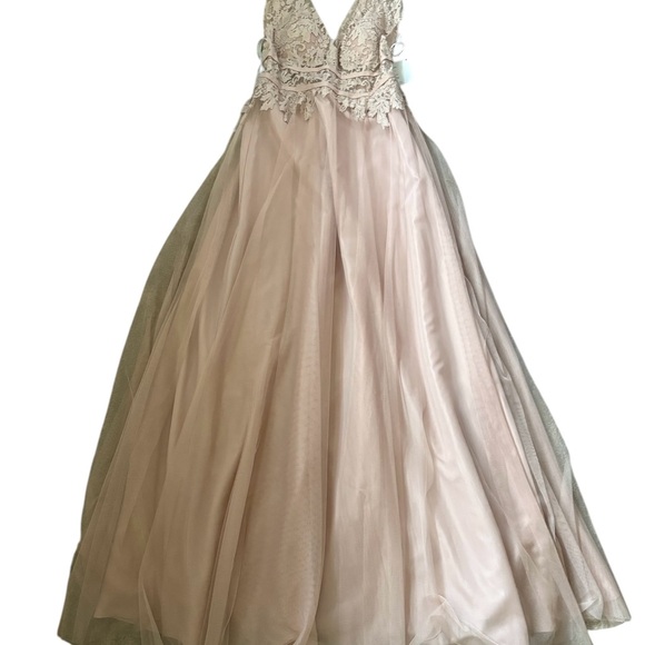 Watters Bridesmaids Aria Lace V-Neck Tulle Gown 6603-Brielle in Blush New Sz 4 - Picture 8 of 12